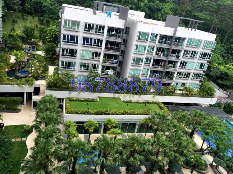 The Raintree (D21), Condominium #85120332